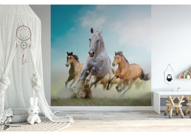 Állatos poszter TPALL042